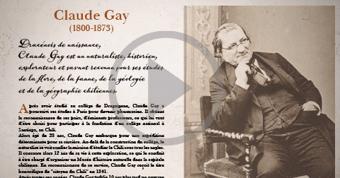 Expositions - Claude Gay