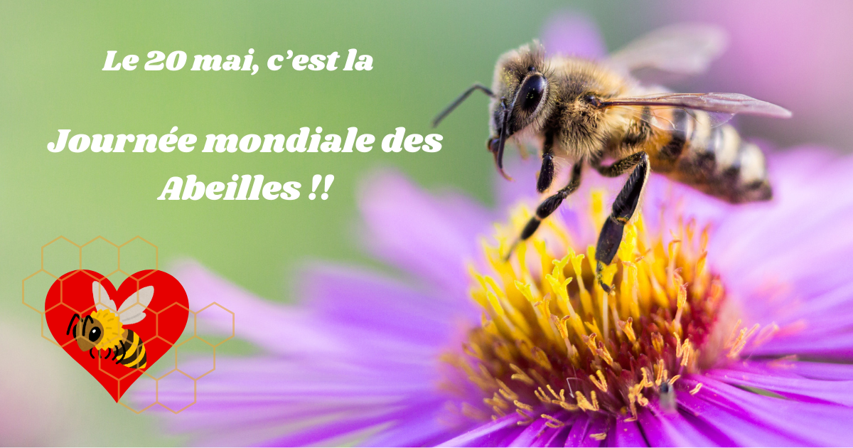 journee-mondiale-abeilles-mai-2024-draguignan