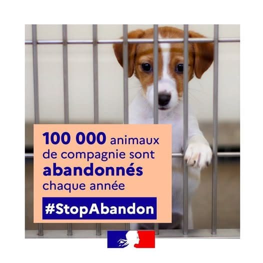 stop-abandon-prefet-var-mars-2025