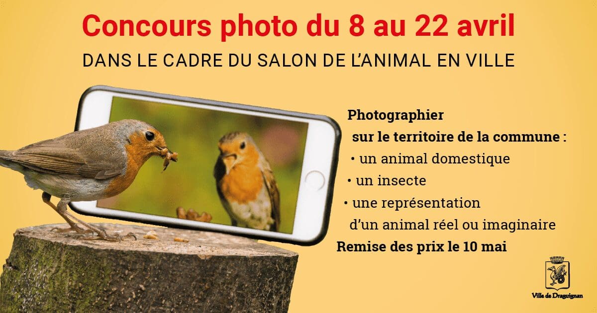 concours-photo-salon-animal-en-ville-10052025