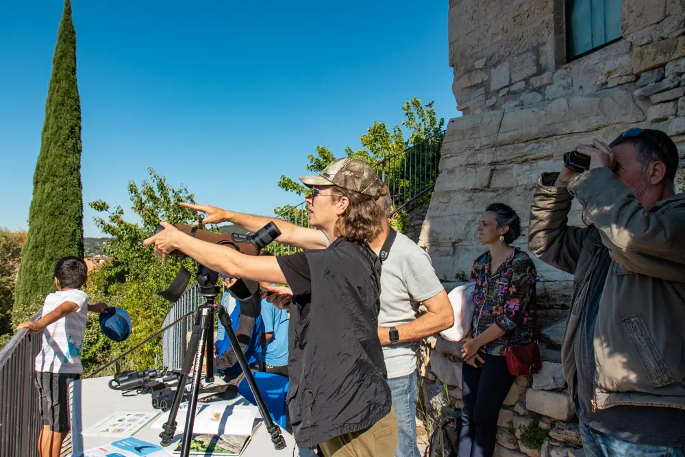 Participants observant des martinets au Théâtre de Verdure lors d'un atelier de la Ligue de protection des oiseaux.