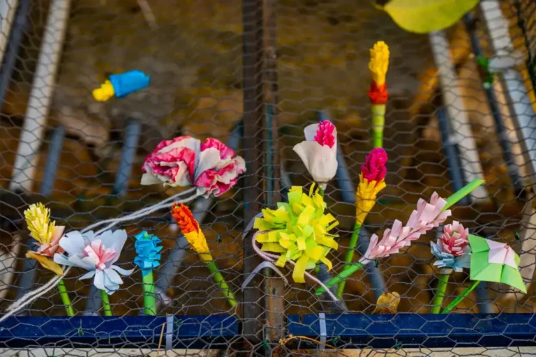 Fleurs en papier coloré fixées sur un grillage métallique lors d'un atelier de préparation du corso.