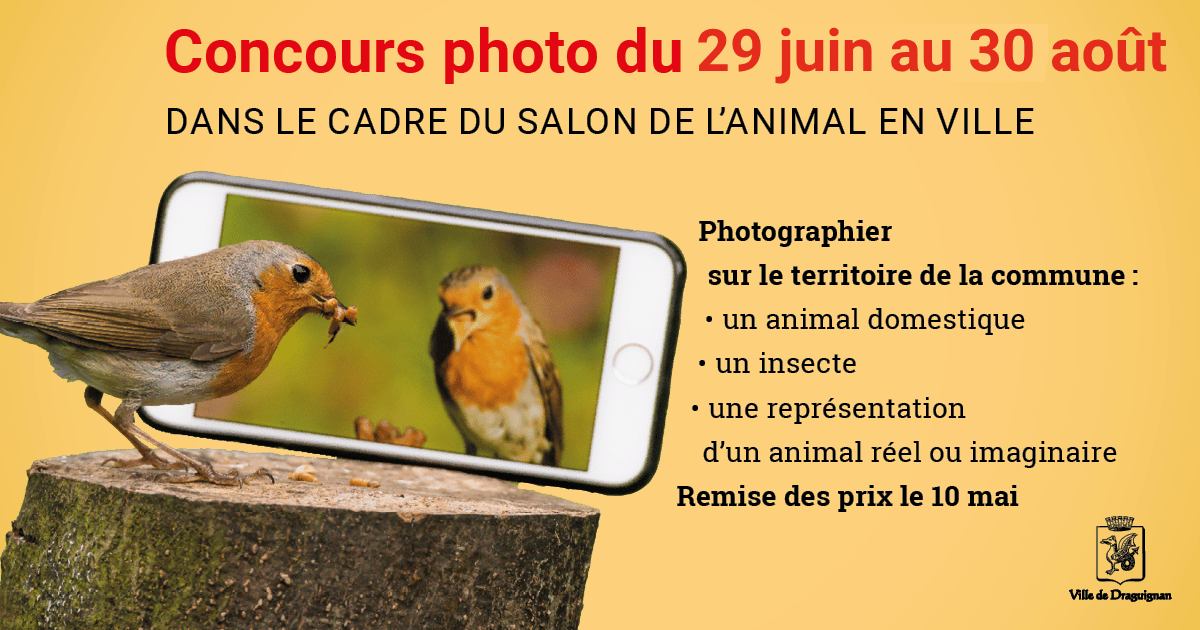 Concours photo du 29 juin au 30 août dans le cadre du salon L'animal en ville. Photographier sur le territoire de la commune : un animal domestique, un insecte, ou une représentation d'un animal réel ou imaginaire.