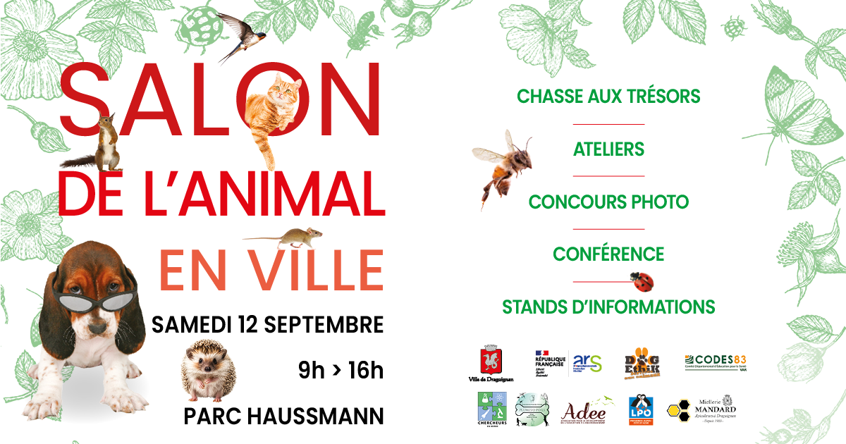 fb-salon-Animal-en-ville