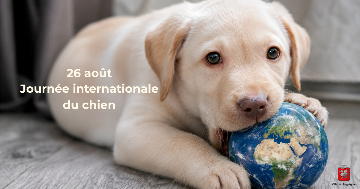 journee-inernationale-chien-26-aout-2026