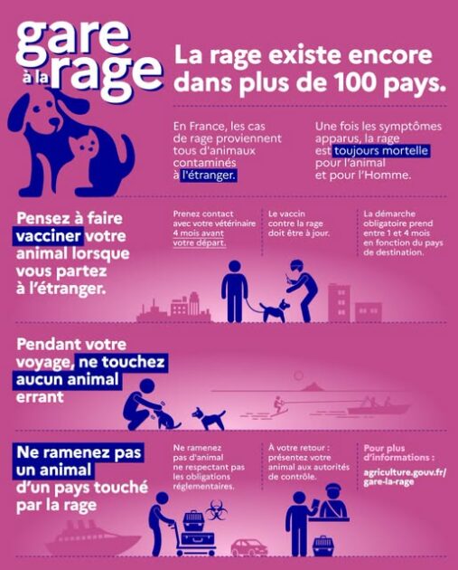 journée mondiale contre la rage - conseils