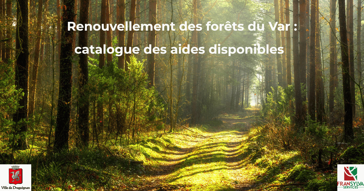 aides disponibles au renouvellement des forêts du Var septembre 2026